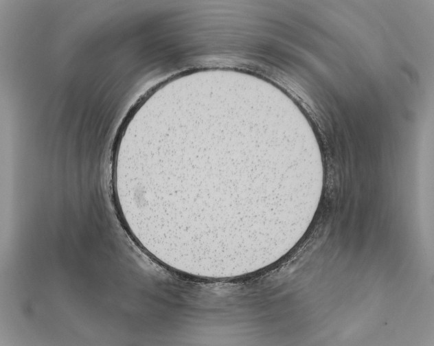 X0000111620992200908281109