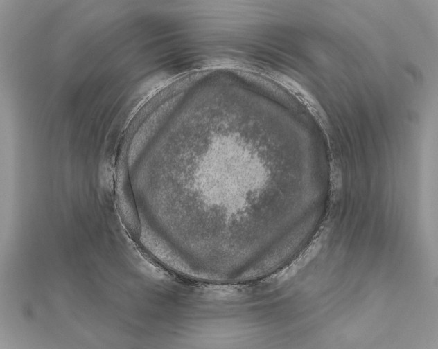 X0000111620993200908281109