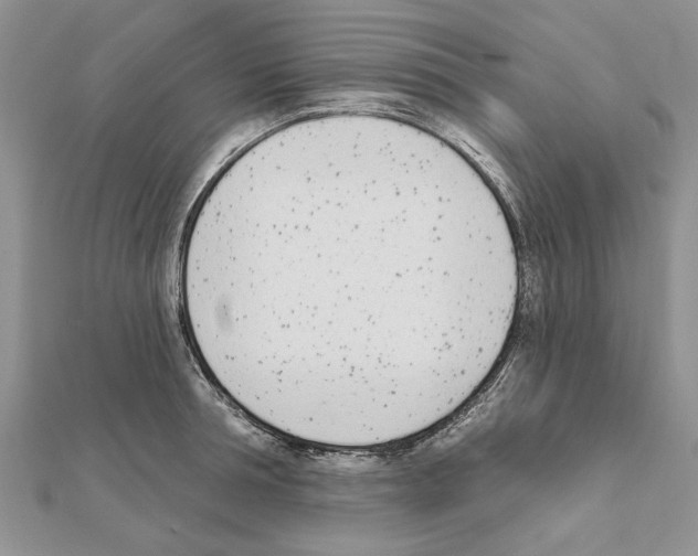 X0000111620994200908281109