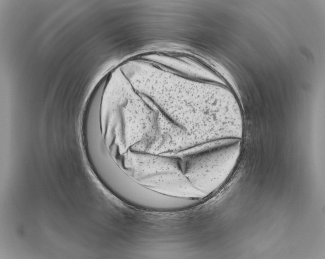 X0000111620997200908281109