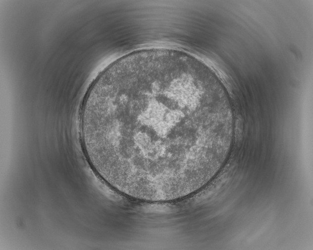 X0000111620998200908281109