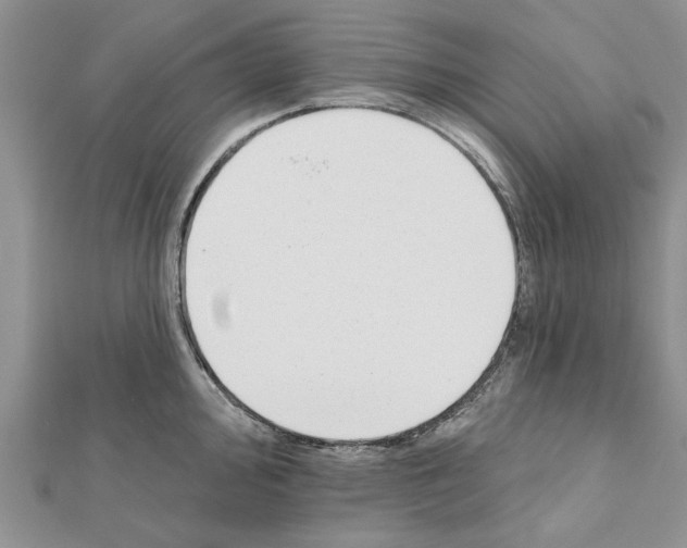 X0000111621000200908281109