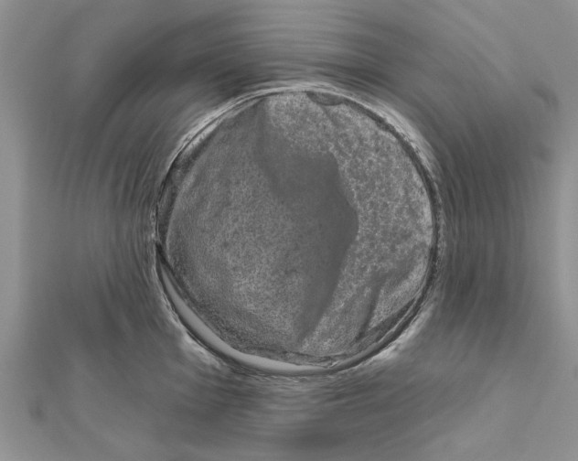 X0000111621001200908281109