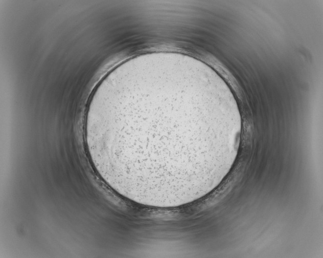 X0000111621002200908281109