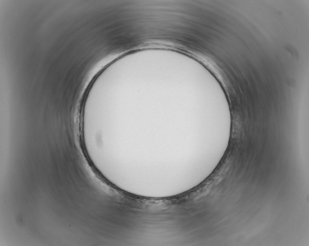 X0000111621003200908281109