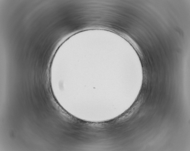 X0000111621004200908281109