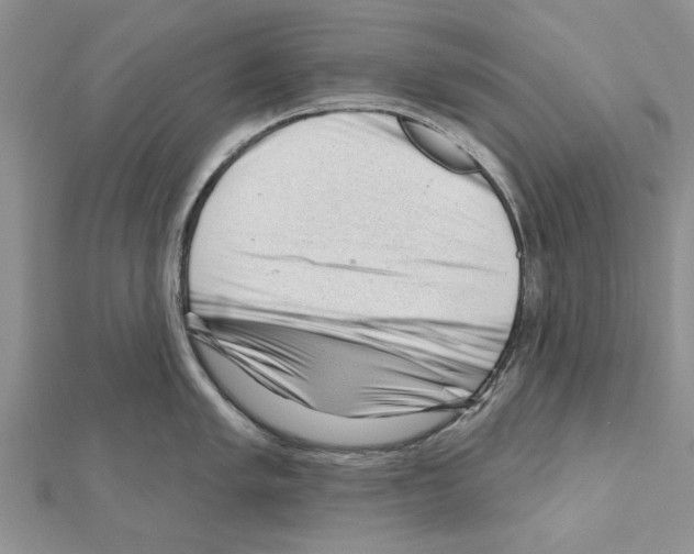 X0000111621005200908281109