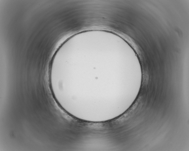 X0000111621006200908281109