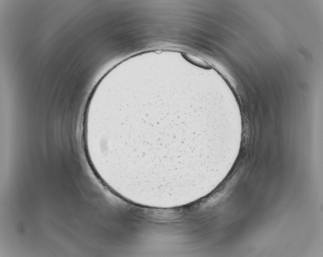 X0000111621007200908281109