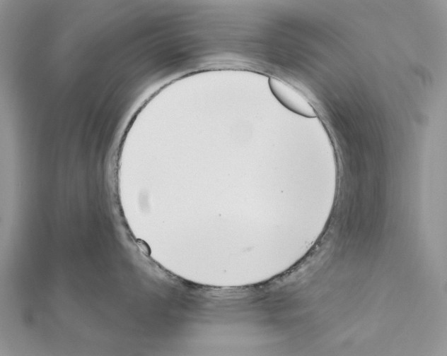 X0000111621008200908281109