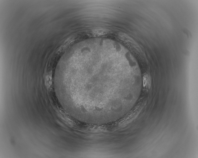 X0000111621011200908281108