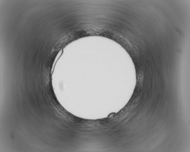 X0000111621012200908281108