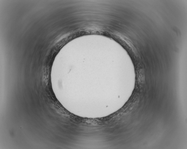 X0000111621015200908281108