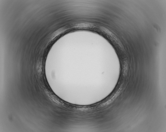 X0000111621017200908281108