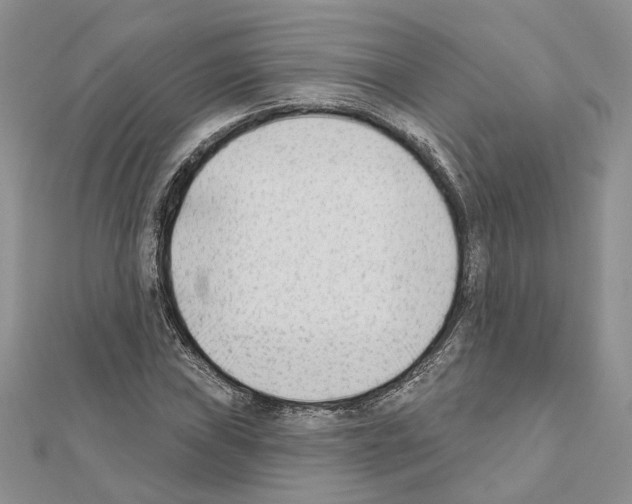 X0000111621019200908281108