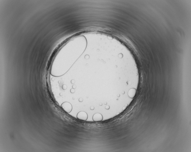 X0000111621020200908281108