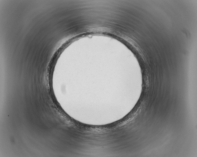 X0000111621022200908281108