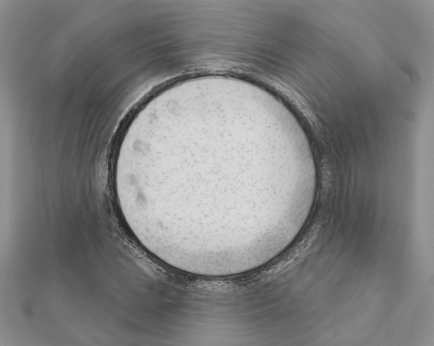 X0000111621023200908281108