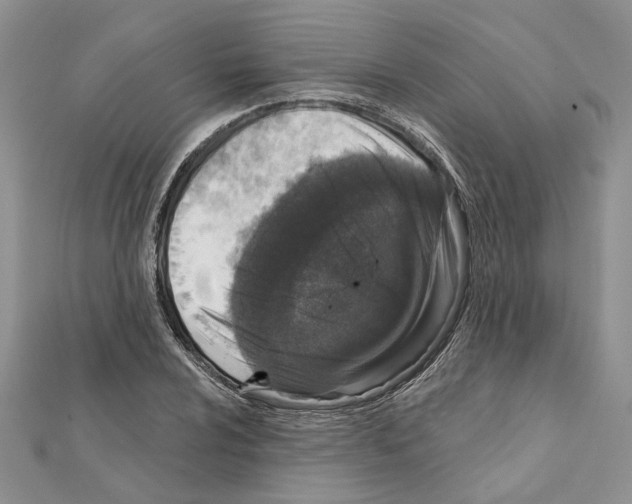 X0000111621024200908281108