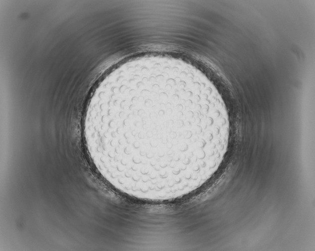 X0000111621025200908281108