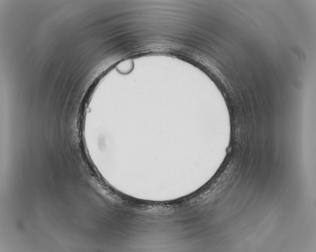 X0000111621026200908281108