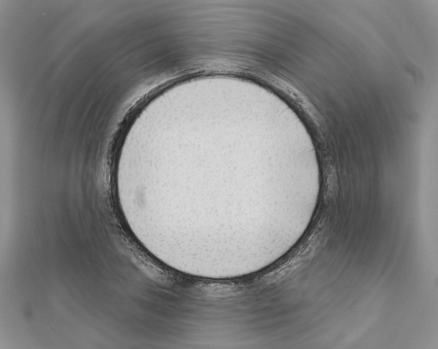 X0000111621027200908281108