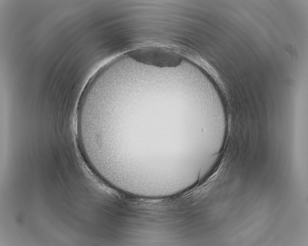 X0000111621028200908281108