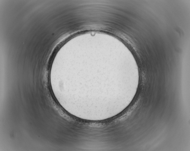 X0000111621029200908281108