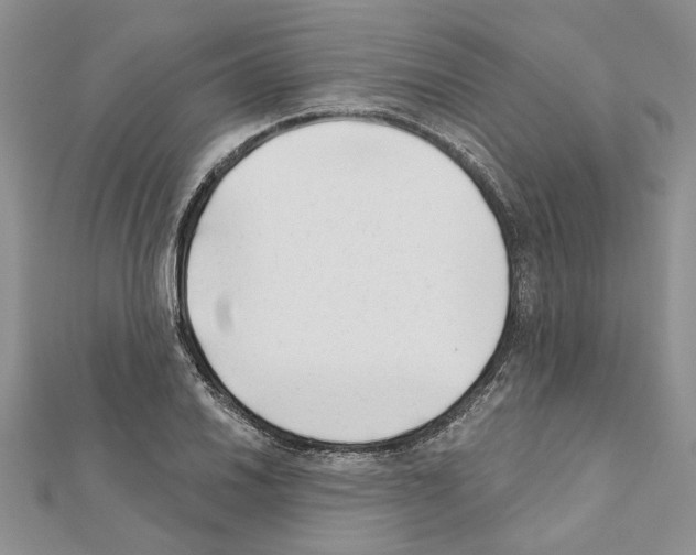 X0000111621030200908281108