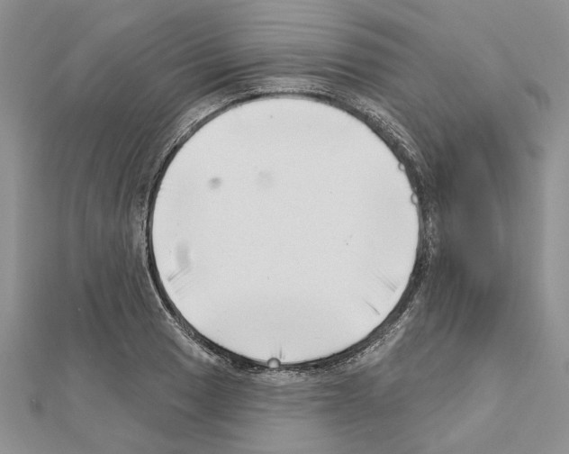 X0000111621033200908281108