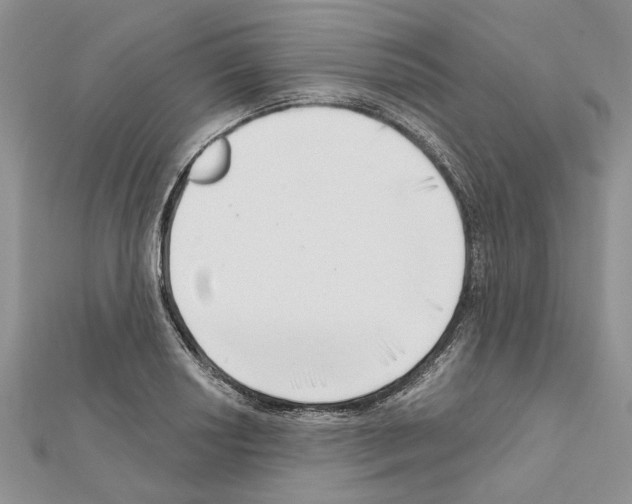 X0000111621034200908281108