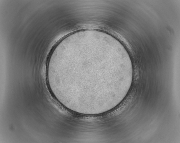 X0000111621035200908281108