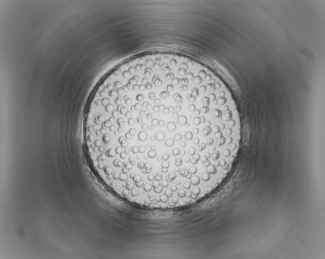 X0000111621036200908281108