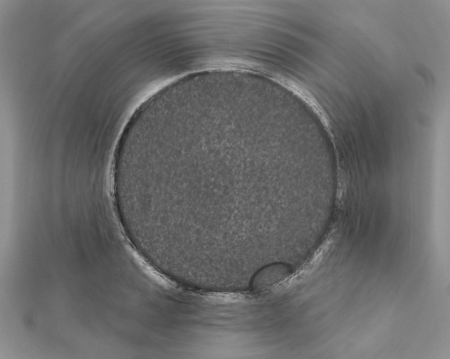 X0000111621037200908281108