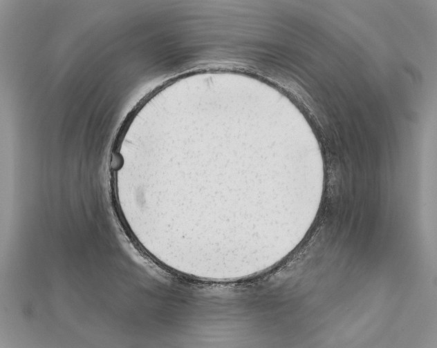 X0000111621038200908281108