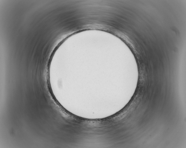 X0000111621040200908281108