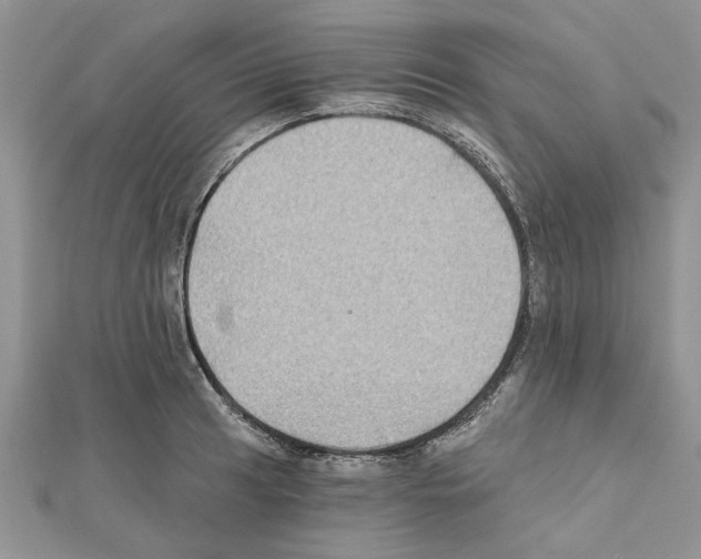 X0000111621041200908281108