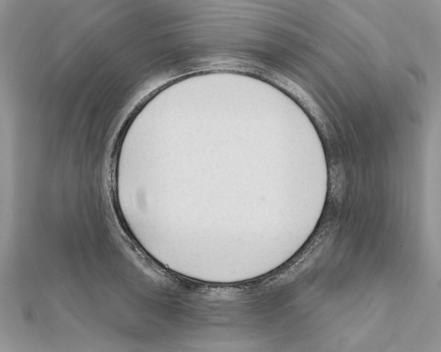 X0000111621043200908281108