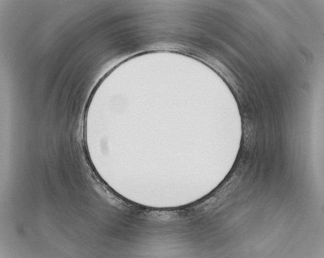 X0000111621044200908281108