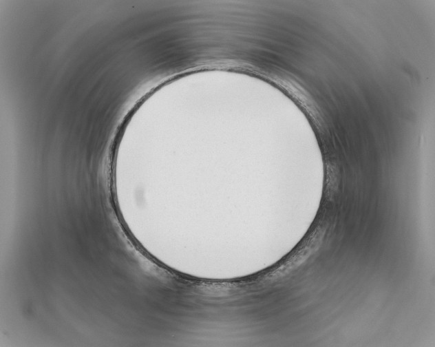 X0000111621046200908281108