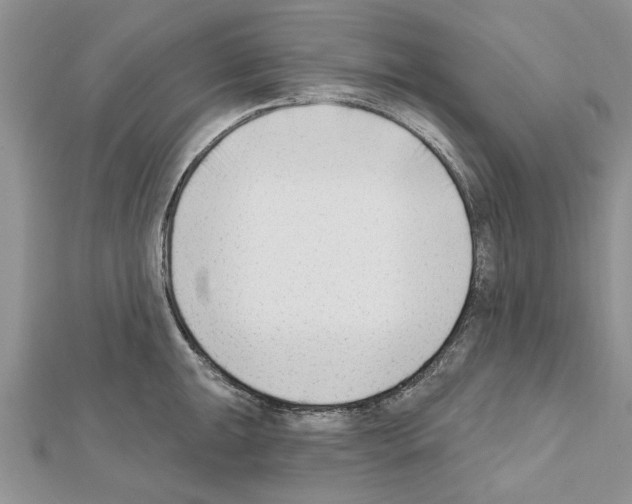 X0000111621047200908281108