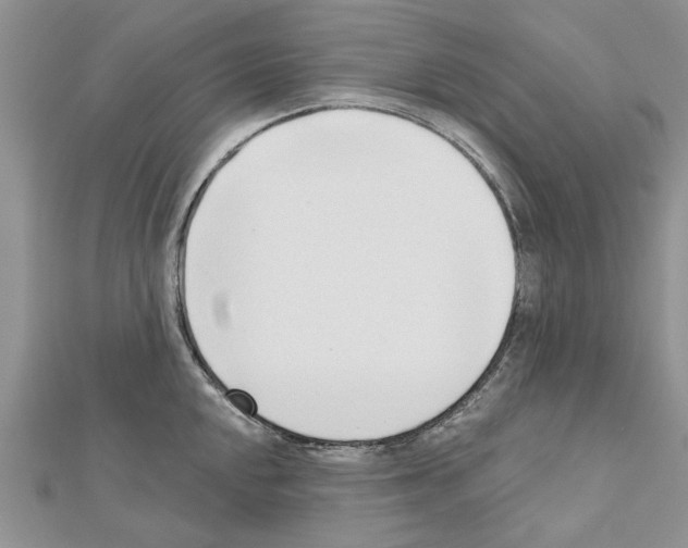 X0000111621048200908281108