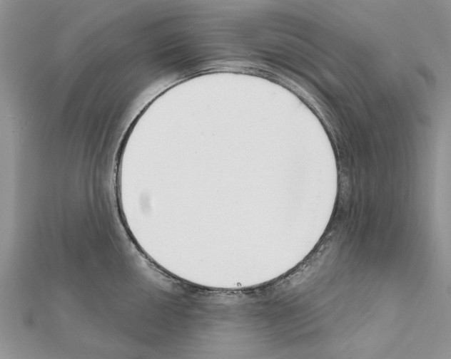 X0000111621050200908281108