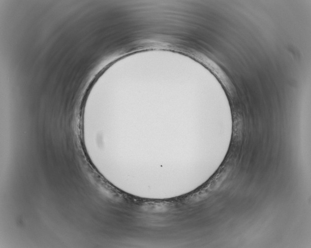 X0000111621051200908281109