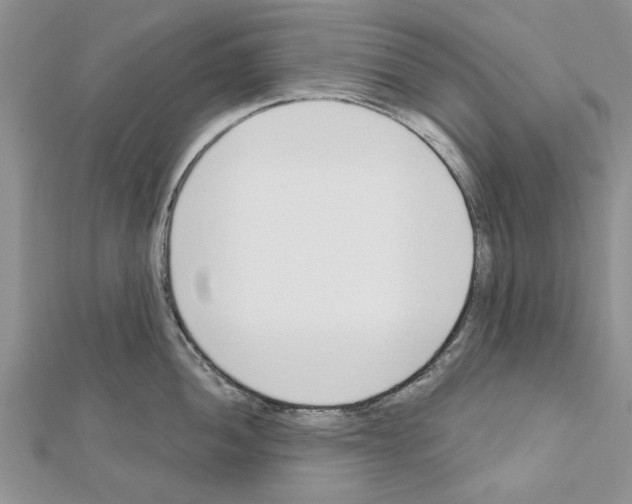 X0000111621052200908281109