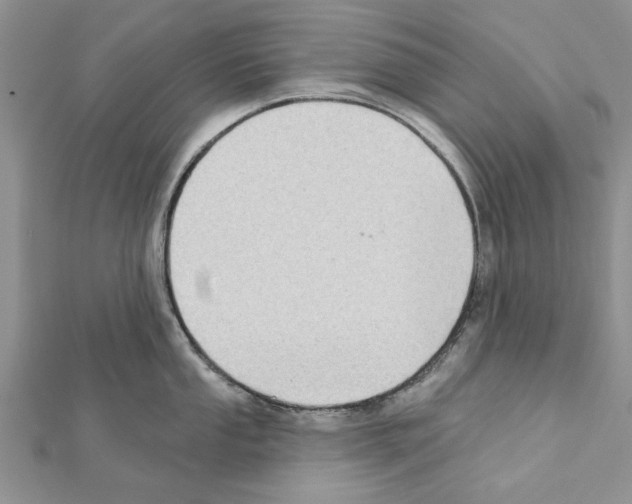 X0000111621053200908281109