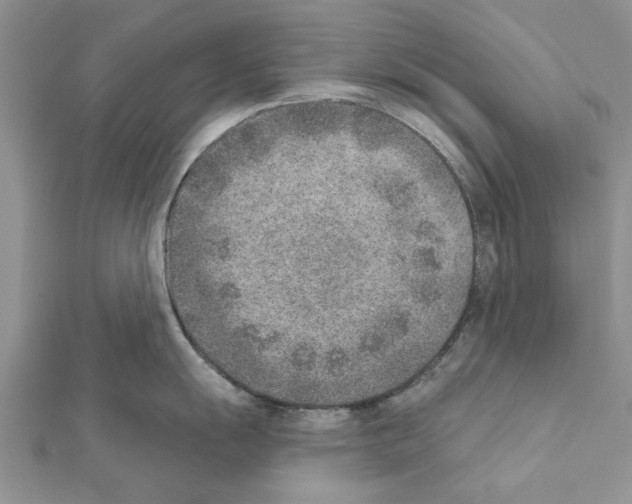 X0000111621055200908281109