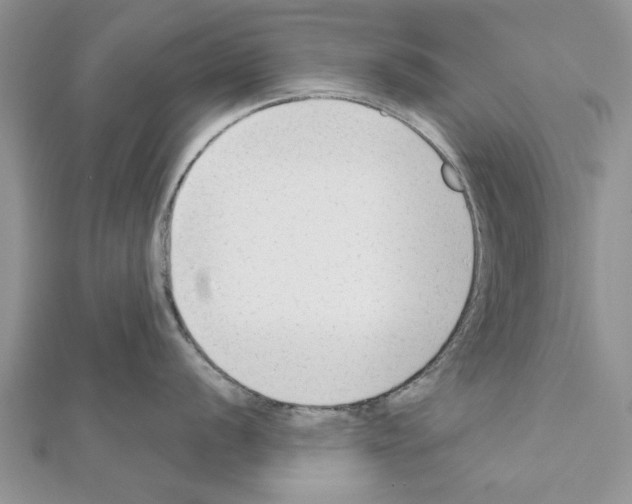 X0000111621056200908281109