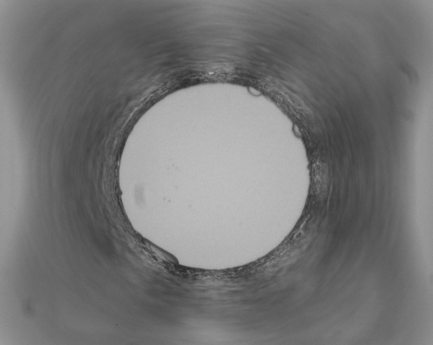 X0000111621057200908281108