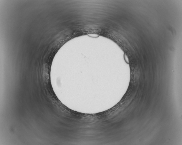 X0000111621058200908281108